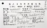 裸隱肛海膽藏品圖，第8張