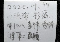 疣裸海膽藏品圖，第11張
