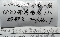 微小微鰭烏賊藏品圖，第7張