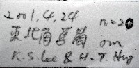 未知種跳蝦藏品圖，第7張