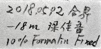 網紋海女蟲藏品圖，第11張