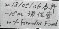 筒蝶螺藏品圖，第11張
