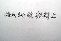 日本異茗荷藏品圖，第7張