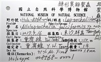 鐮形異細螯蟲藏品圖，第7張
