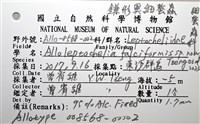 鐮形異細螯蟲藏品圖，第6張