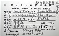 鐮形異細螯蟲藏品圖，第3張