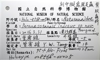 刻印擬島原足蟲藏品圖，第5張