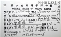 刻印擬島原足蟲藏品圖，第8張
