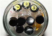 石梯坪聯蟲藏品圖，第2張