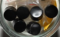石梯坪聯蟲藏品圖，第2張
