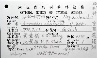 重期遠環蚓藏品圖，第8張