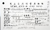 墾丁遠環蚓藏品圖，第12張