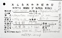 重期遠環蚓藏品圖，第8張