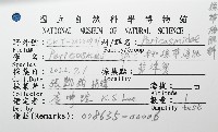 未知種緣帶海膽藏品圖，第16張