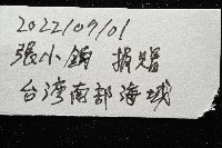 未知種角孔海膽藏品圖，第11張