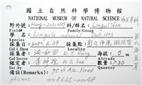亞氏海豆芽藏品圖，第8張