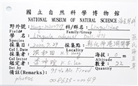 亞氏海豆芽藏品圖，第8張