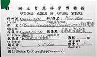 朱紅鶯蛤藏品圖，第12張