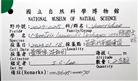 韓國文蛤藏品圖，第8張