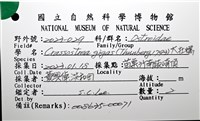 大牡蠣(葡萄牙牡蠣)藏品圖，第12張