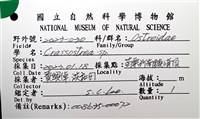 未知種巨牡蠣藏品圖，第8張