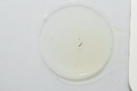 魚賁類絛蟲藏品圖，第3張