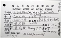 靈犀筆螺藏品圖，第18張