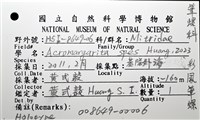 彩鳳筆螺藏品圖，第10張