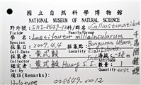 千島國鐘螺藏品圖，第16張