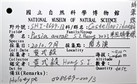東風蛹筆螺藏品圖，第10張