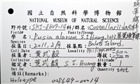 展翼蛹筆螺藏品圖，第14張