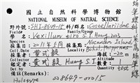 菜鳥蛹筆螺藏品圖，第18張