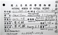 老鳥蛹筆螺藏品圖，第20張