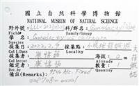 大指蝦蛄藏品圖，第10張