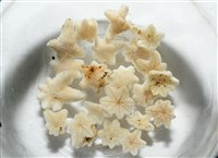 伯頓海燕藏品圖，第13張