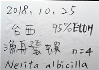 漁舟蜑螺藏品圖，第11張
