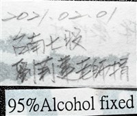 馬鞍(扁平)障泥蛤藏品圖，第7張