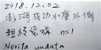 高腰蜑螺藏品圖，第10張