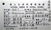 波部鳳螺藏品圖，第18張