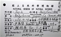日本鳳螺藏品圖，第16張