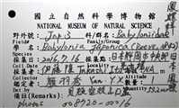 日本鳳螺藏品圖，第16張