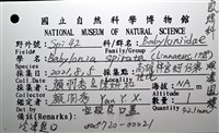 深溝鳳螺藏品圖，第18張