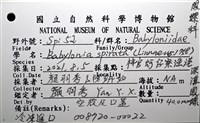 深溝鳳螺藏品圖，第20張