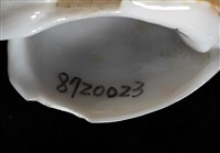 彩繪型深溝鳳螺藏品圖，第17張