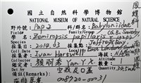 南非鳳螺藏品圖，第18張