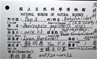 南非鳳螺藏品圖，第14張