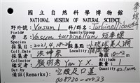短拳螺藏品圖，第18張
