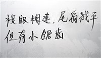 未知種紡錘水虱藏品圖，第15張