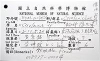 未知種狹長水虱藏品圖，第8張