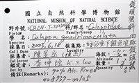 四斑饅頭蟹藏品圖，第12張